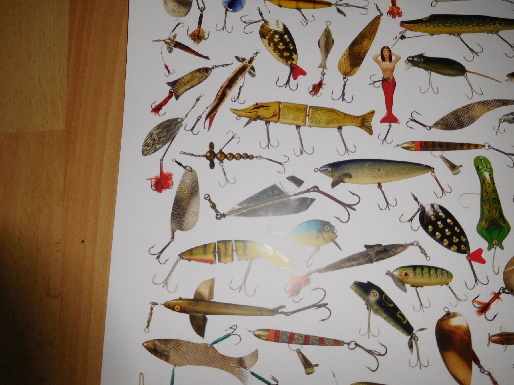 Esche: Wobbler Poster – Nuovo (secondo la descrizione) da Wallbach venduto da Pitralon1 3
