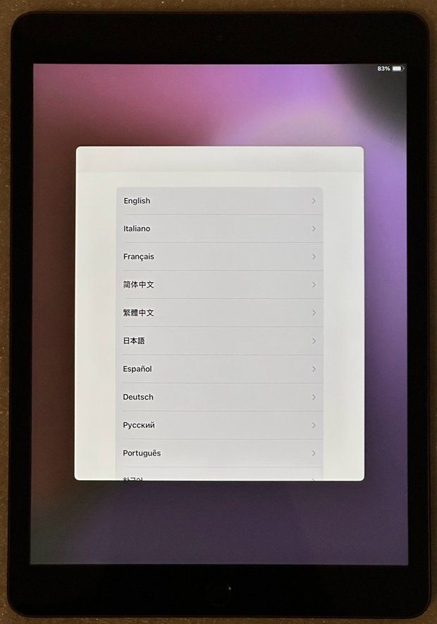 Apple Tablet PC: iPad 10.2" 7th Generation 128GB Akku 96% – Usato da Riehen venduto da bassettg