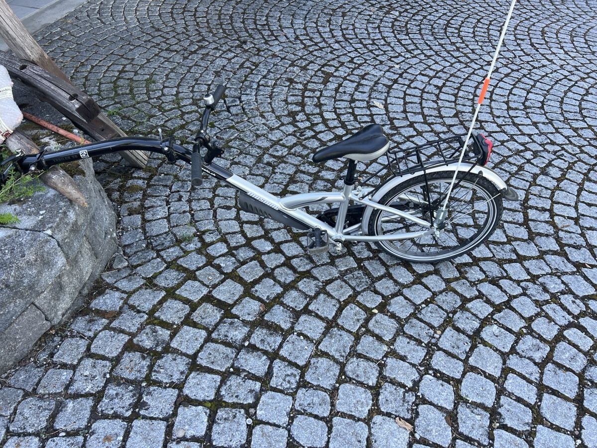 Vélos: Schattenvelo – D'occasion à Dürnten par vh95
