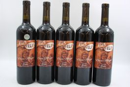 5x Vallemaggia Magic Blues Rosso 2019 - Rotwein (26082062Z)