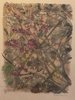 Cadeau vintage avec une gravure de Robert Hainard