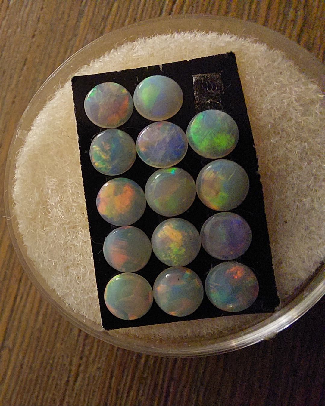Pietre preziose: 14 Opalcabochons 4mm rund – Nuovo (secondo la descrizione) da Klingnau venduto da Tamina5