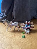 Schleich Pferde Set: Mädchen mit Kutsche und süssem Pony