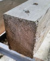 2 Holzbalken 10x14x470 cm