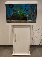 Juwel Primo 60 Aquarium mit Unterschrank