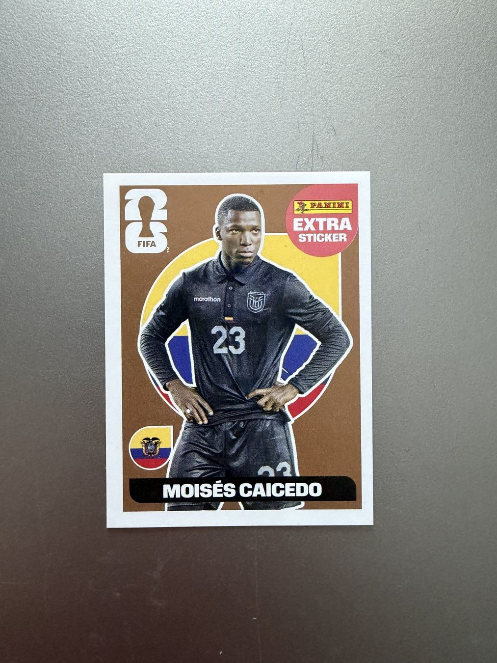 Panini Carte collezionabili: Panini Extras - 4er Set – Nuovo (secondo la descrizione) da Winterthur venduto da jsoll1 2