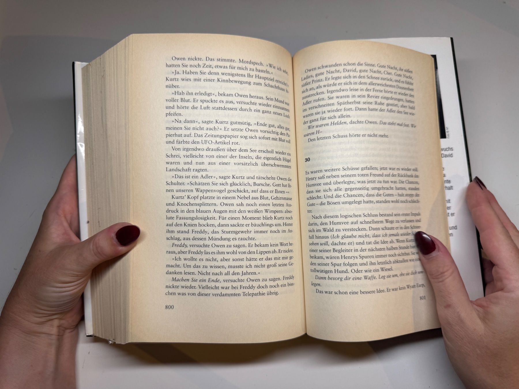 Libri: ROMAN: Stephen King, Duddits, Dreamcatcher – Usato da Grosswangen venduto da Deutsche_Romane 8
