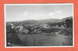 19.4.1940 Nahbild vom Dorf Grasswil BE/unverbaut/Bild v.1939