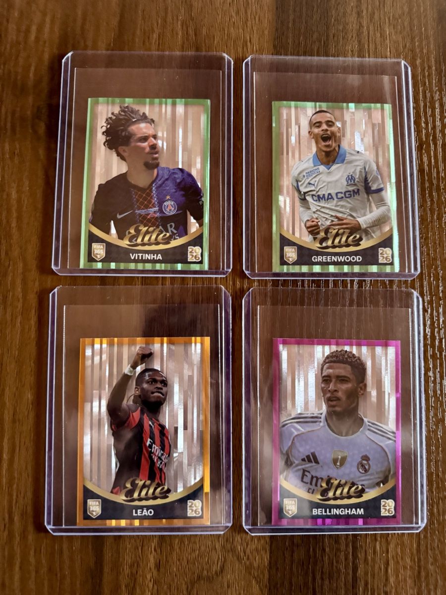 Panini Carte collezionabili: Fifa 365 – Nuovo (secondo la descrizione) da SAXON venduto da Mic_9