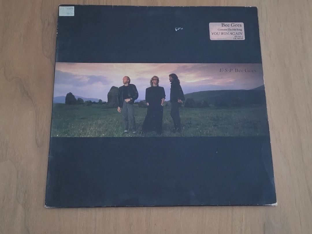 Dischi in vinile: LP Bee Gees – Usato da Martigny venduto da MZ-67