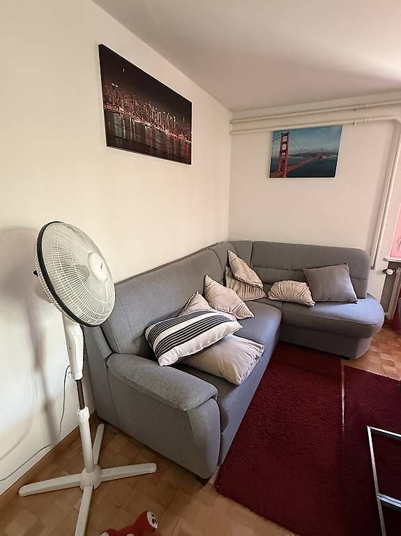 Divani: Klappsofa mit Stauraum – Usato da Lyss venduto da toom3250