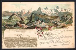 Litho Bern, Berner Oberland mit Gemsen, 