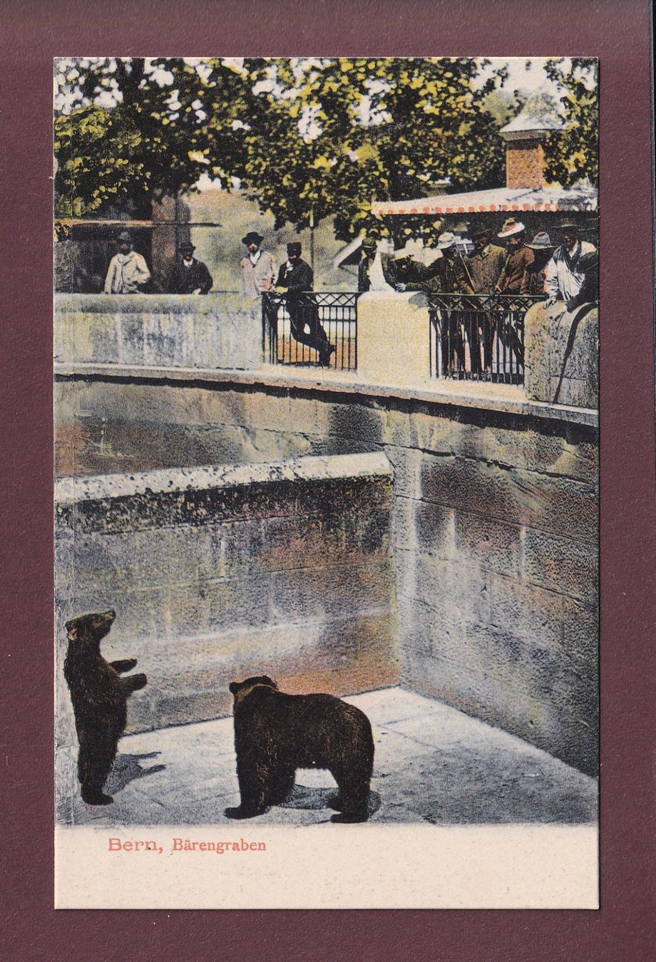 Cartoline postali: BERN - Bärengraben – Usato da Pully venduto da nicecards