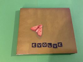 Ani DiFranco - Evolve CD, Top Zustand, Rarität!