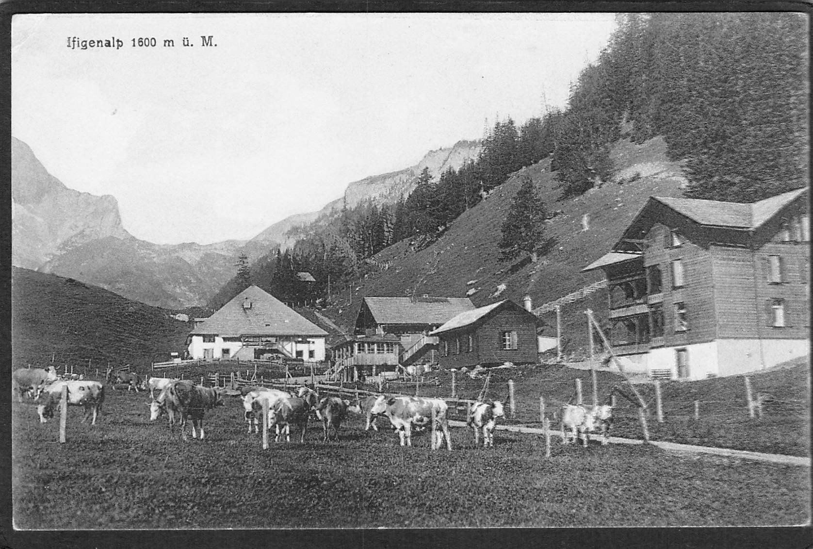 Ansichtskarten: -Ifigenalp , Landwirtschaft – Gebraucht aus Reichenburg von Pipo-67