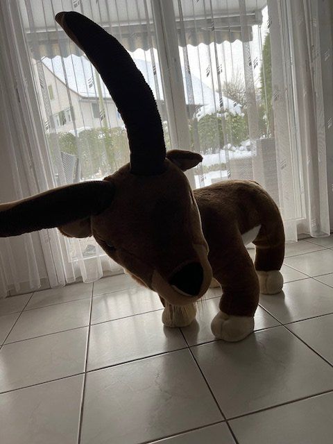Welt der Tiere: Steinbock – Gebraucht aus Dietlikon von Cam0 1