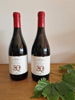 Vinosia Sesto a Quinconce Irpinia Aglianico 2006