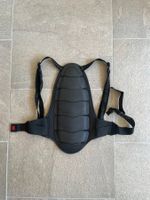 Rückenprotektor Dainese + Nierengurt