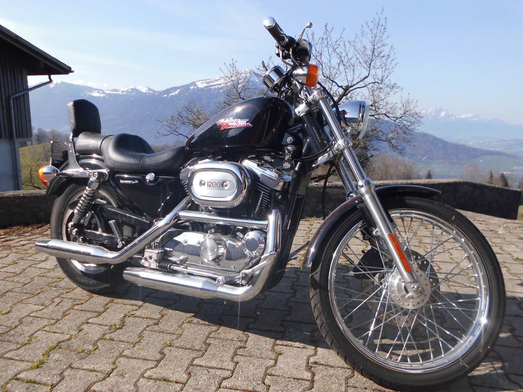 Harley-Davidson Strada: Harley-Davidson XL 1200 C – Usato da Walchwil venduto da evmuin 6