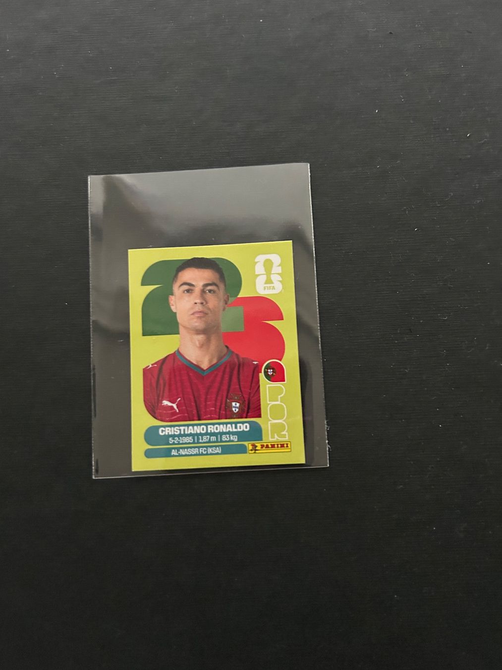 Panini Carte collezionabili: Panini Sticker Ronaldo – Usato da Zürich venduto da Yvo619