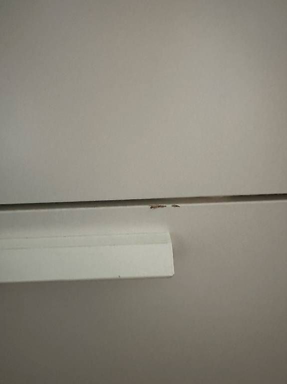 Betten: IKEA BRIMNES Bettgestell – Gebraucht aus Kerns von rij_sjb6 2