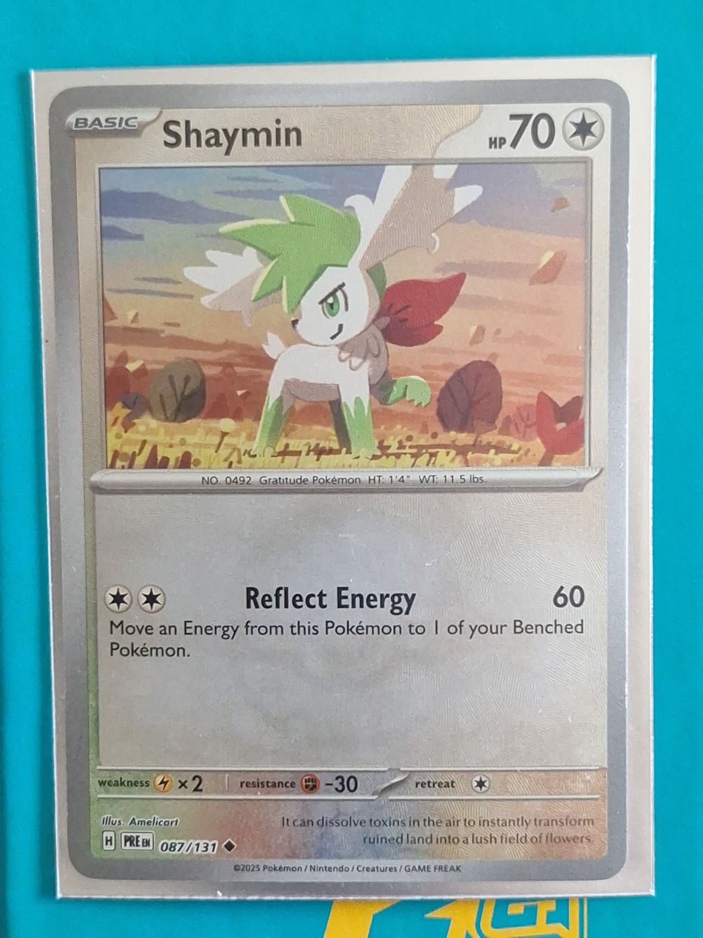 Pokémon Carte collezionabili: Shaymin - Pokeball Reverse Holo Prismatic Evolution – Usato da Altstätten SG venduto da GGsGameshop