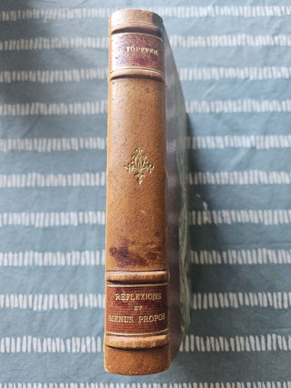 Bücher: Reflexions et menus propos par R. Töepffer 1865 – Gebraucht aus Thônex von lacomtessedesfees 1