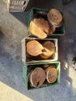 Kirsch Holz Scheiben