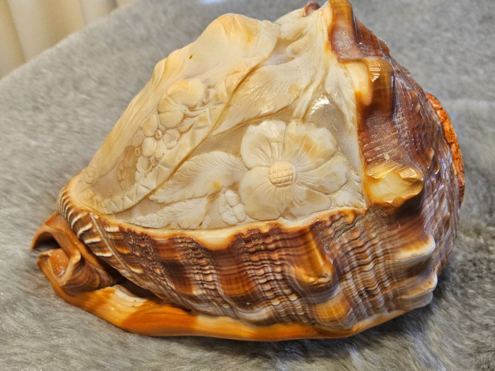 Lampade: Antike Art Déco geschnitzte Conch Shell, ca 1920, Lampe – Usato da Zürich venduto da sanwit 3