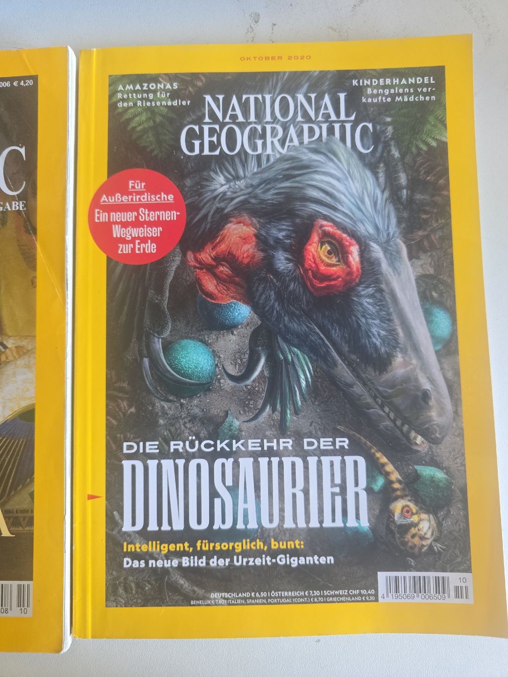 Revues & Magazines: National Geographic Sammlung 5 Hefte – D'occasion à Pfäffikon SZ par gmw_8nk9