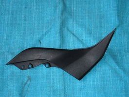 Kawasaki Z750 / 2008 Seitenschale links