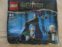 LEGO Harry Potter Polybag Tüte Draco Forbidden Forest