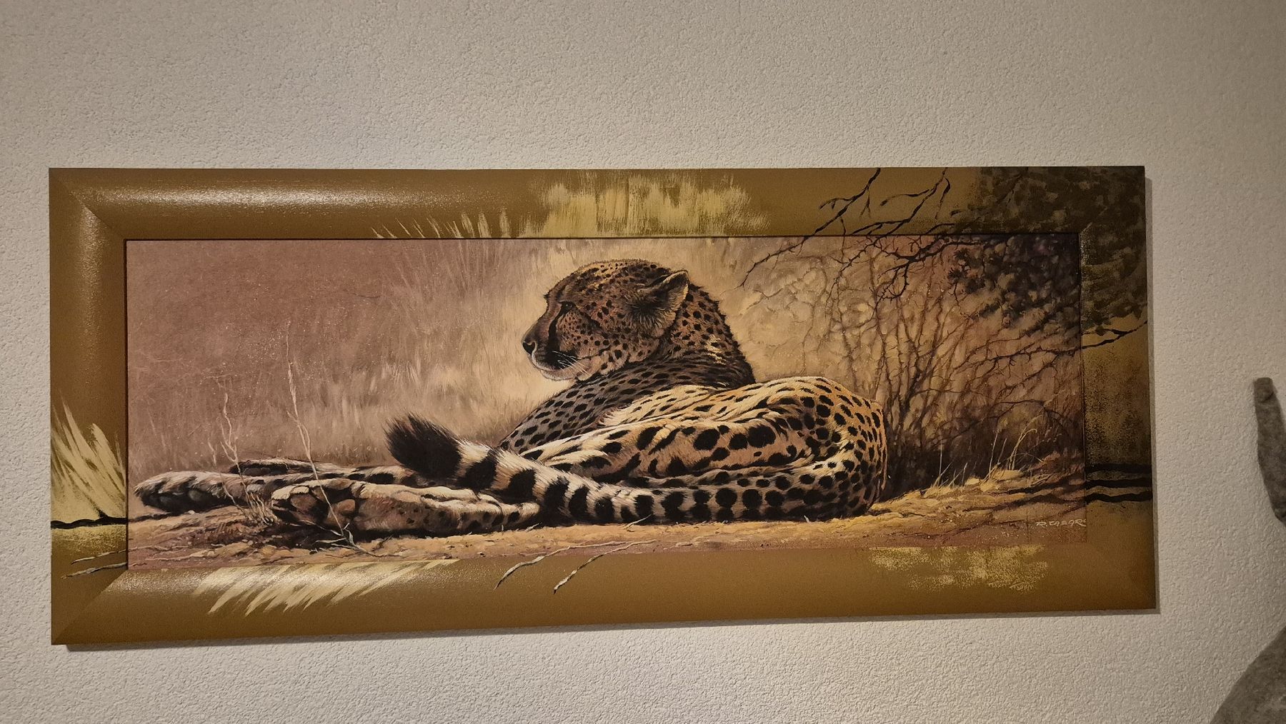 Foto & Immagini: Gemälde eines Gepards – Usato da Kappel SO venduto da jon_558w