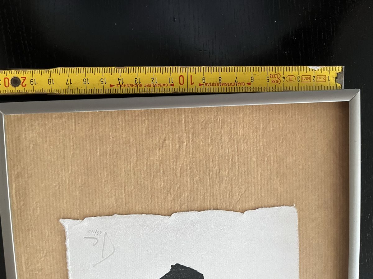 Stiche: Gravures de Tal-Coat encadrées – Gebraucht aus Lausanne von joltei 8