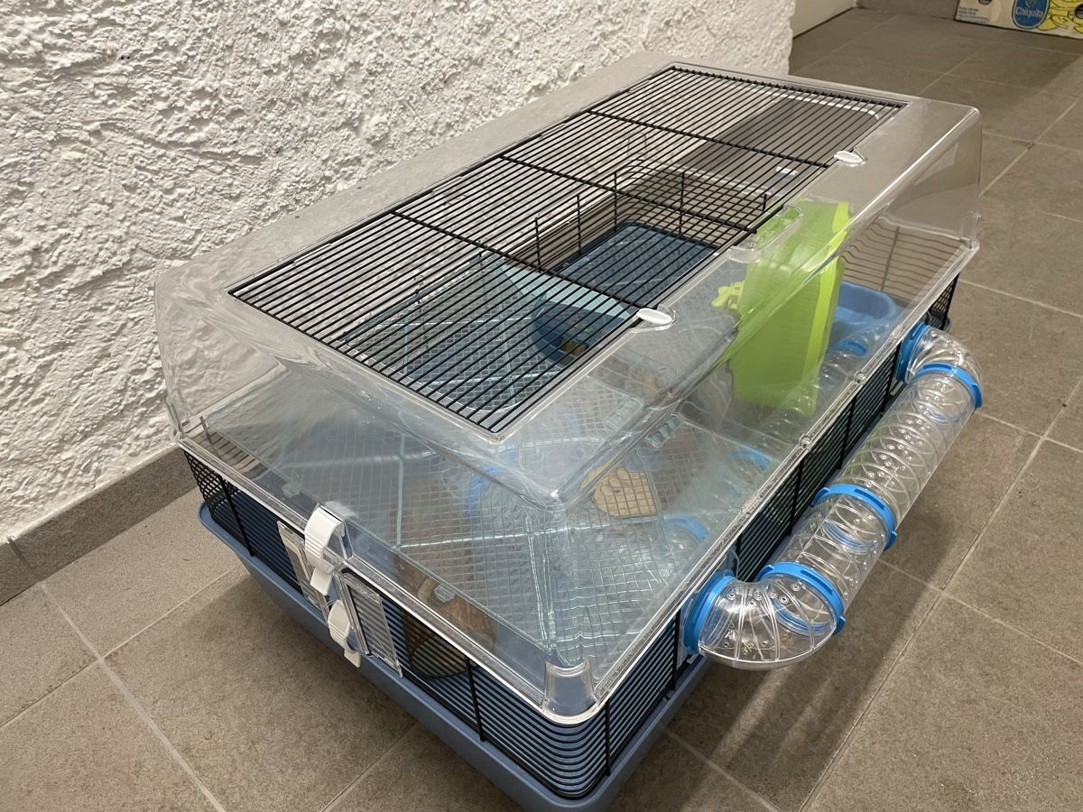 Ferplast Käfige, Transport & Sicherheit: Hamsterkäfig mit Zubehör, gebraucht  – Gebraucht aus Winterthur von rosen17 2