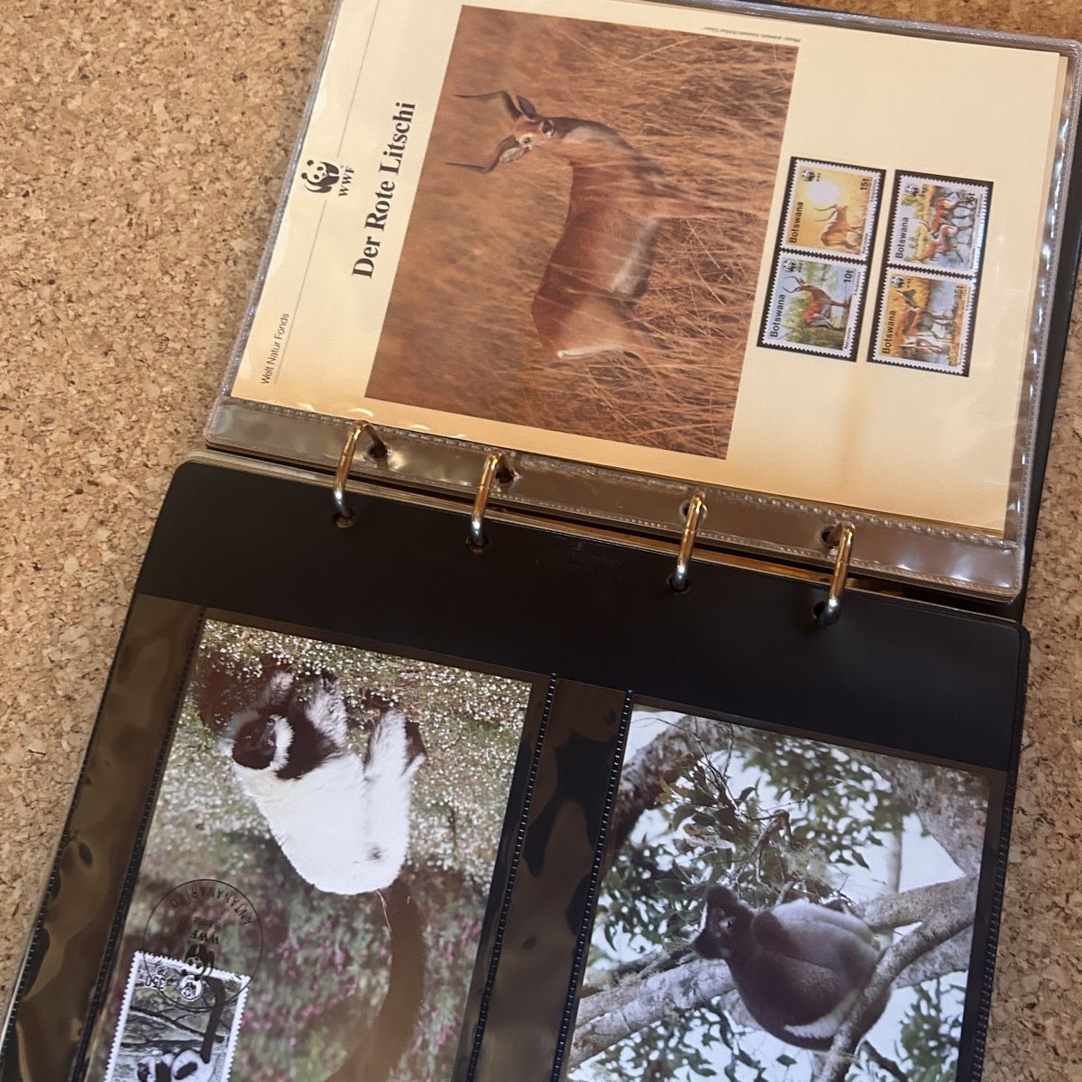WWF Album: WWF Briefmarkenalbum – Usato da Laufen venduto da belleskulptur 8