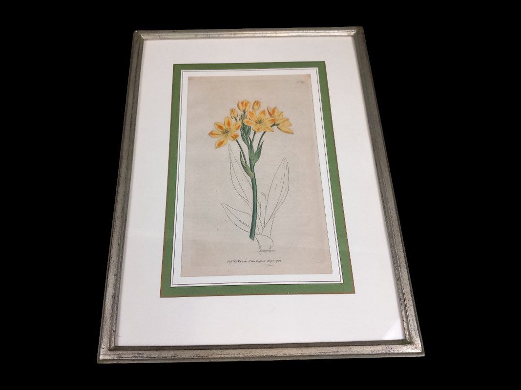Posters & Illustrations: Bild im Bilderrahmen orange Blume – D'occasion à Hünenberg par Restwert_Zug