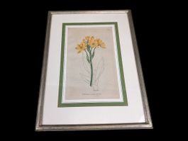Bild im Bilderrahmen orange Blume