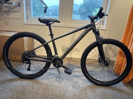 Kinder MTB von Specialized occa.