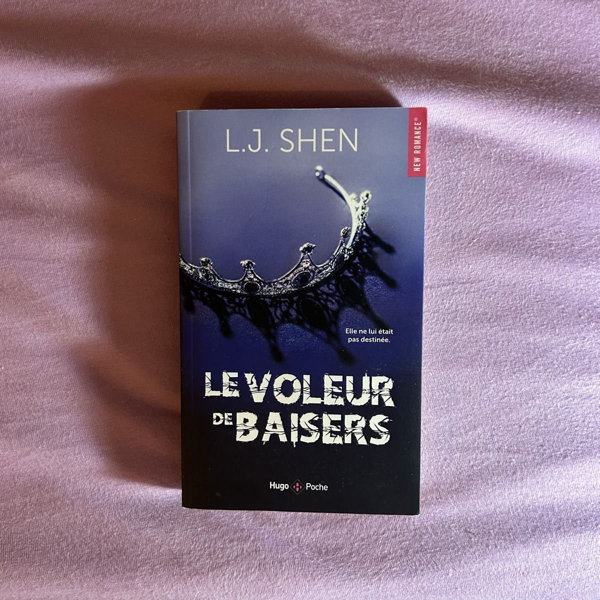 Bücher: le voleur de baisers – Gebraucht aus Orsières von champ10