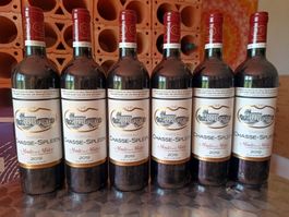 6 Fl. Château Chasse-Spleen, Moulin-en-Médoc AC, 2019