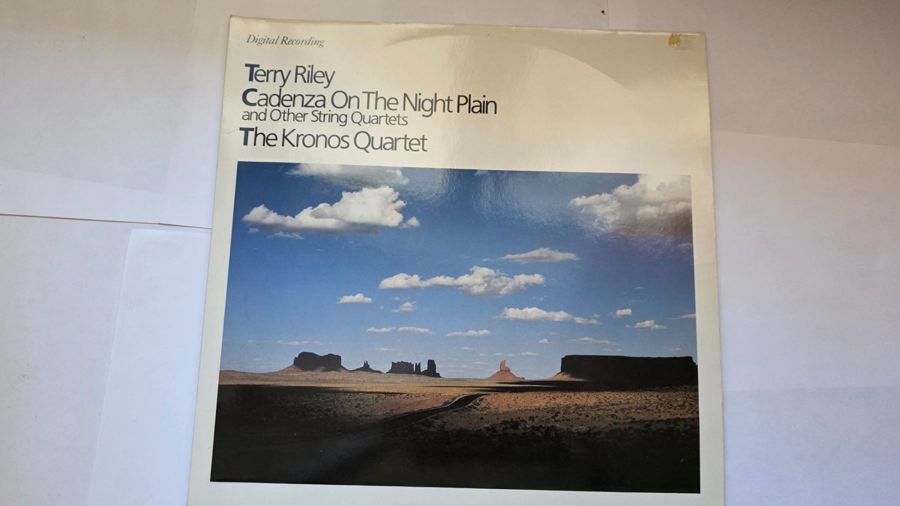 Dischi in vinile: Doppel LP  Terry Riley  Cadenza on the Night Plain – Usato da dornach venduto da hundeliebe01