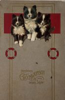 Neujahr, Katzen, Jugendstil, Prägedruck