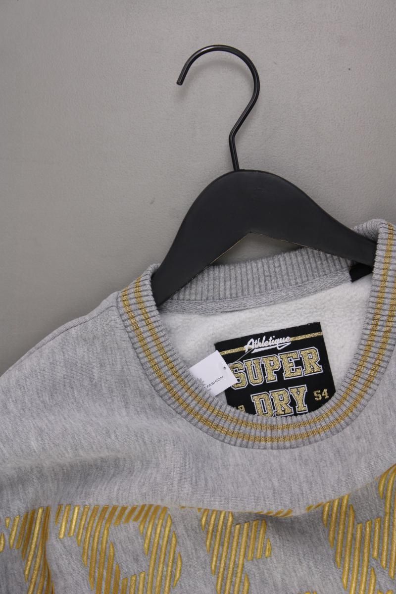 Maglioni & Felpe: Superdry Langarmpullover Gr. 40 grau – Nuovo (secondo la descrizione) da Neustadt an der Waldnaab venduto da SecondLifeFashion 1