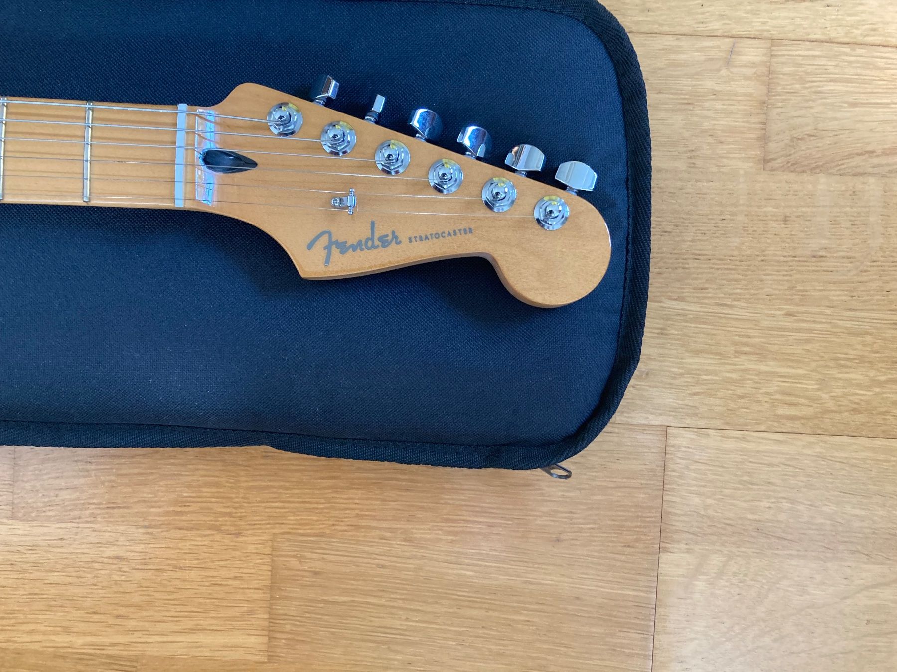 Fender Instruments de musique: Fender Stratocaster Player Plus – D'occasion à Zürich par urs_z8b2 2
