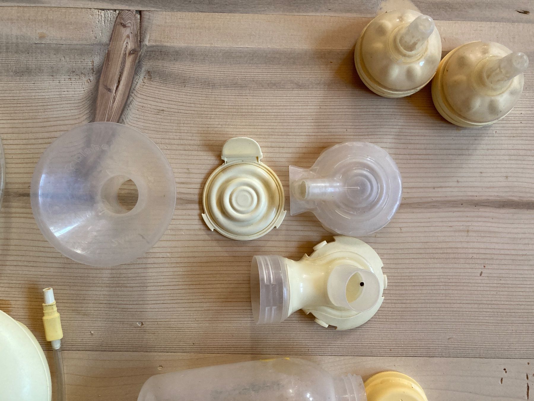 Medela Accessori per l’allattamento: Medela Milchpumpe – Usato da Scharans venduto da luc_r6gc 1