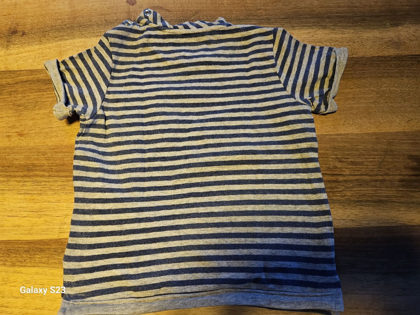 Camicie, Top & T-shirt: Kurzarm Shirt, Gr. 74, von bellybutton – Usato da Spiez venduto da ann_y7bb 1