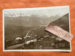 Sur l‘Alpe "Auf der Weide" - Seltenes Sujet!