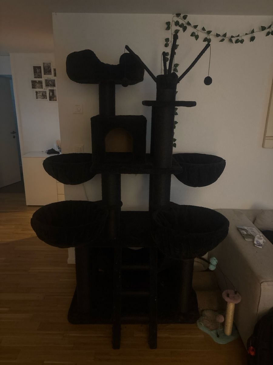 Arbres à chats: Katzenbaum – D'occasion à Kriens par max_c6fg
