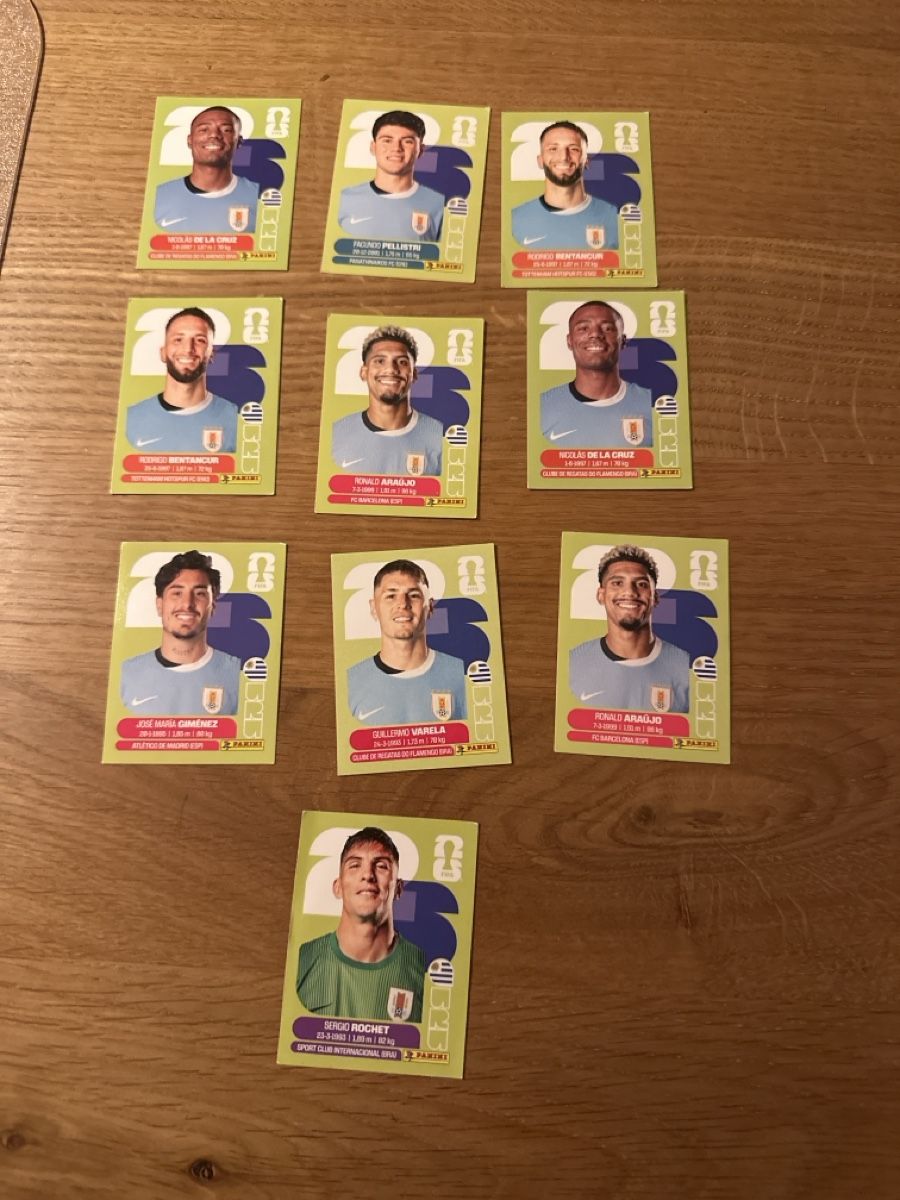 Panini Carte collezionabili: Panini Sticker Uruguay Spieler 9 Stuck – Nuovo (secondo la descrizione) da Schaffhausen venduto da Choliday